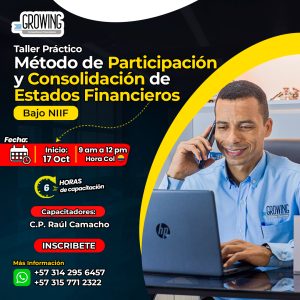 Taller Práctico Método de Participación y Consolidación de Estados Financieros