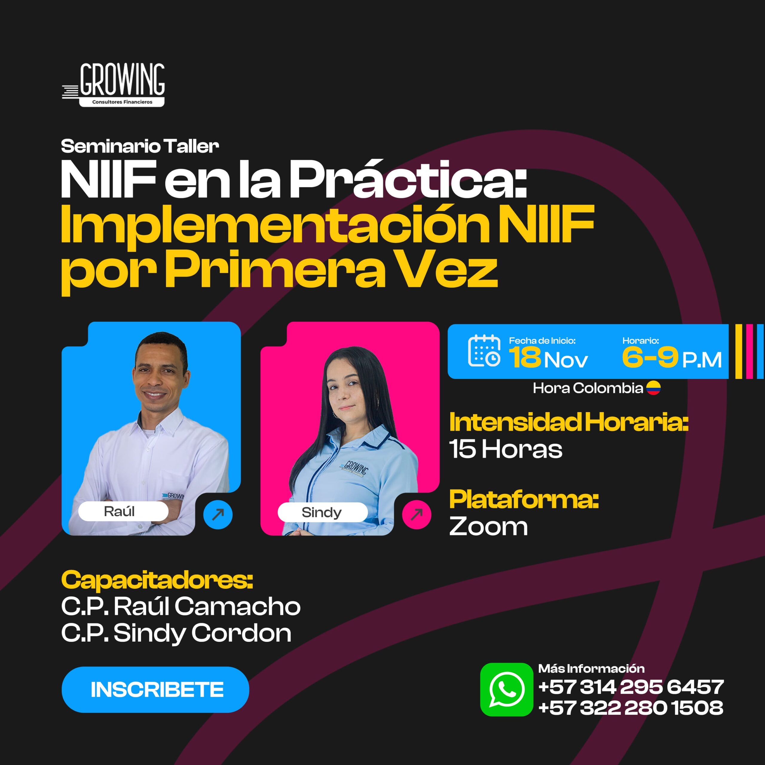 PORTADA IMPLEMENTACION