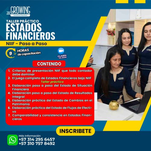 CONTENIDO ESTADOS FINANCIEROS NIIF PASO A PASO